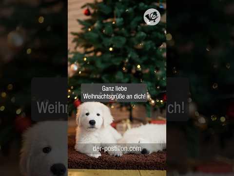 Liebe Weihnachtsgrüße [Video zum Weiterverschicken an Verwandte und Bekannte]