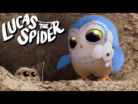 Meet Lucas the Spider's Friend Arlo