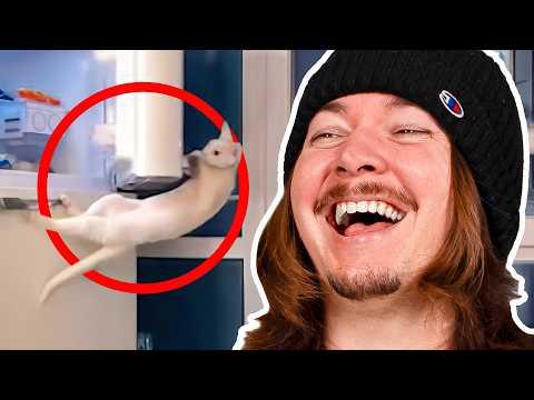 I get FILLED UP with Laughs from Daily Dose of Internet