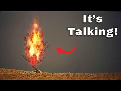 Can A Burning Bush Talk In Real Life?