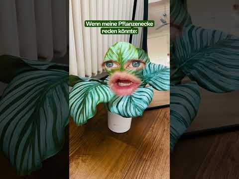 Wenn deine Pflanzen reden könnten🪴 #kleinanzeigen  #comedy