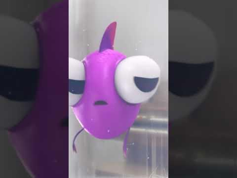 The Aftermath from The Spider Web from The Fish Tank #lucasthespider #aftermath #friends