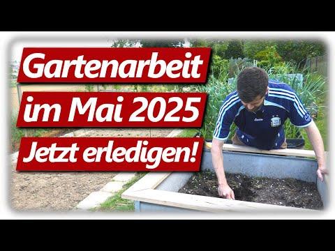 Gartenarbeit Mai | Tomaten pflanzen, Kräuselkrankheit Pilz Pfirsich, Hochbeete und Opas Salatsoße