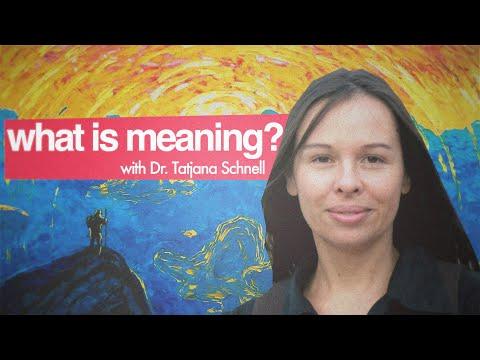Why Is There A Crisis Of Meaning? And How Can We Get Out of It? (with Dr. Tatjana Schnell)