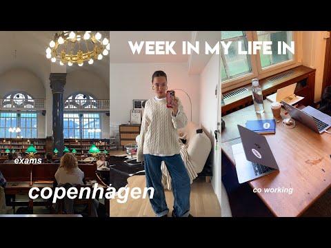 copenhagen vlog: co working & Noemi zu Besuch 