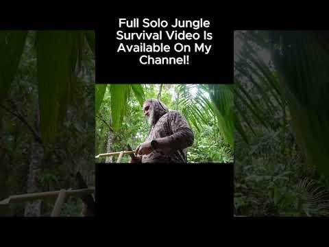 FORAGING For Heart of Palm In The Jungle #survival #outdoorskills #foraging