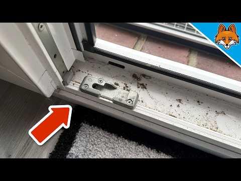 Der EINFACHSTE Weg um Fensterfugen zu reinigen💥(Genialer Trick)🤯