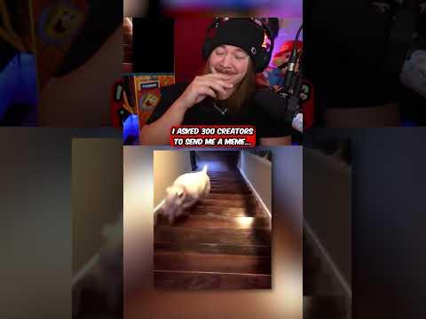 YOU Laugh YOU Lose 😣