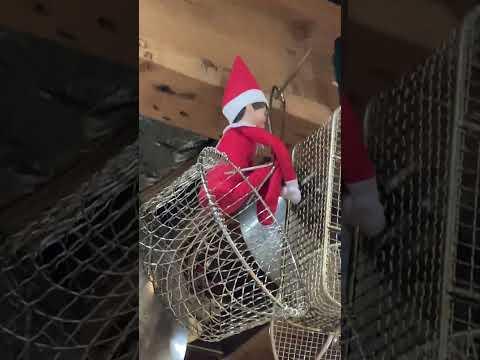 Frank the Elf Day 2