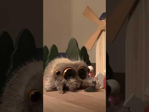 Lucas the GIANT Spider #lucasthespider #kidsvideo #cartoons