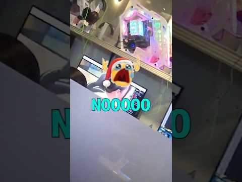 We Caught Them In 4K😭😭