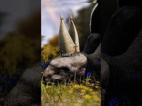 What's Special about the Turtles in Elden Ring? | Lore Shorts