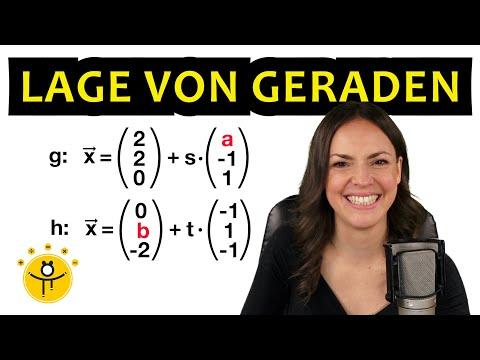 VEKTOREN im Abitur – Lage von Geraden