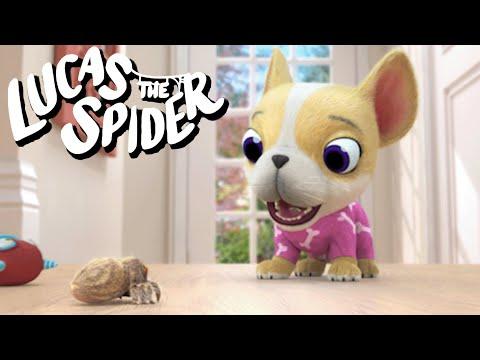 Watch Out for Avocado on Lucas the Spider