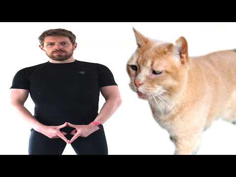 How to Alpha Male like me