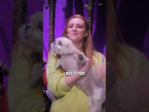 Check out our first ever short film posted to Dead Meat!