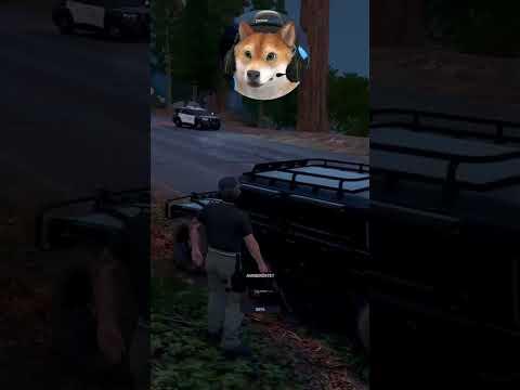 Der Überfall auf den Werttransport!? #gtarp #gta5 #csyon