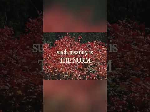 The Norm of Incompleteness