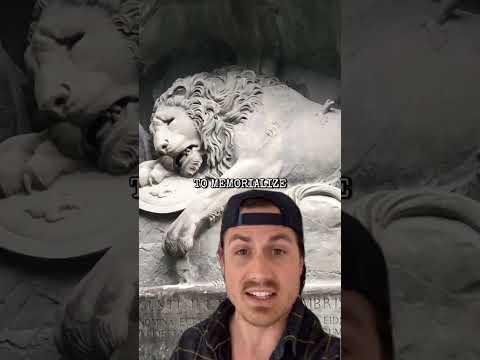 Taxidermy Gone WRONG! 😭