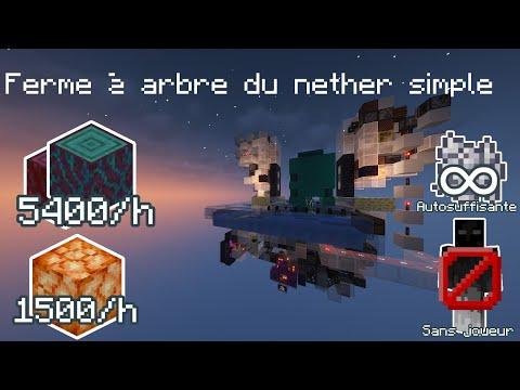 Ferme à arbre du nether 100% auto super simple