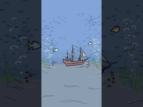 How long will a shipwreck last on the sea floor?