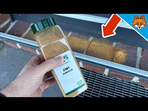 Kippe ZIMT vor deine Tür und STAUNE WAS PASSIERT💥(Genialer Trick)🤯