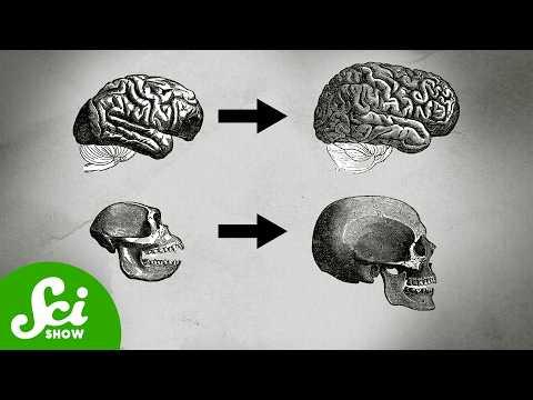 The Evolutionary Basis of Autism