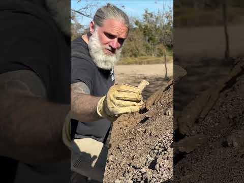 Knife and Atlatl Stone Tools Recovered