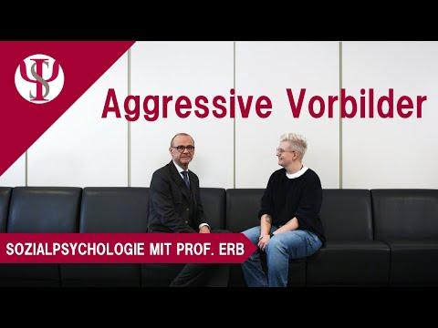 Aggressive Vorbilder | Sozialpsychologie mit Prof. Erb