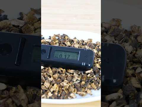 Would you eat radioactive mushrooms from Chernobyl?