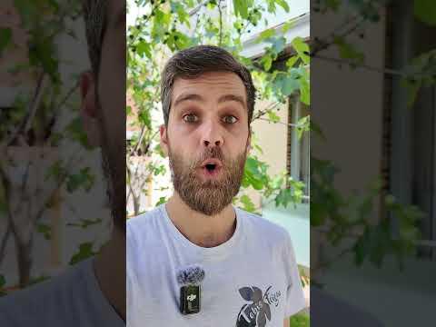 Erste Beeren Ernte schon im Mai? Kein Problem! #Garten #Ernte #Mai