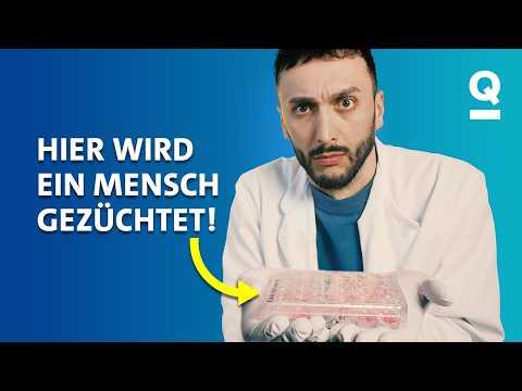 Organoide statt Tierversuche - Das können wir jetzt schon! | Studio Q