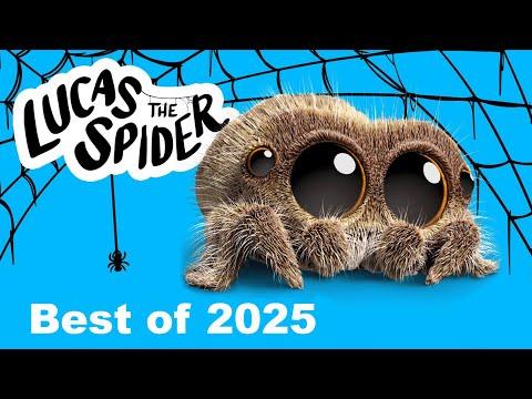 Best Lucas The Spider Videos of 2025