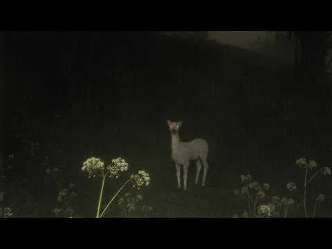 Exploring the SCP Foundation: SCP-9455 - Red Monday