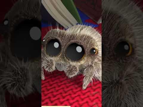 Avocado tells a spooky tale about Whitebone #LucastheSpider
