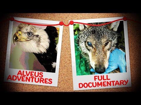 Alveus Adventures | Full Documentary