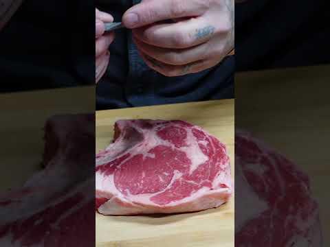 Stone Knife Sharpen and Test #flintknapping #survival #outdoorskills #stonetools #nature #diy