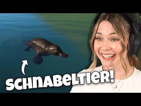 Ein neues Tier für den Muckelzoo! - Planet Zoo: Muckelzoo 111 (Stream vom 27.03.2025)