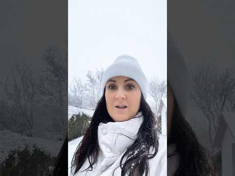 CRAZY amounts of snow in Unterfranken Germany!🇩🇪