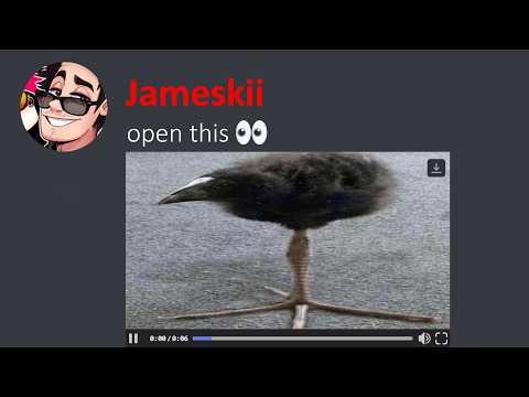 The Most Unusual Discord Videos 12