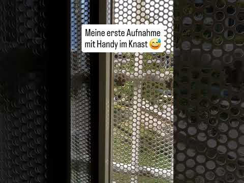 POV: Du rappst im Knast die ersten Bars 🎤