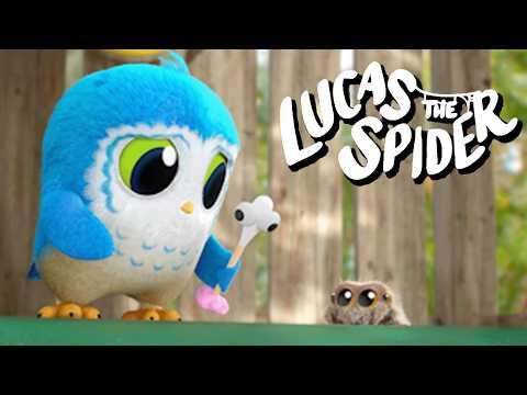 Arlo Wants Baby Acorn BACK! | Lucas the Spider Kids Cartoon
