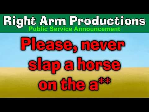 Public Service Announcements Series 2 016 Never Slap A Horse On The A**