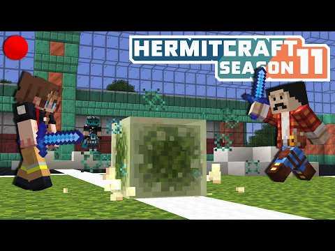 Let's Cube It Out | Hermitcraft 11 Stream