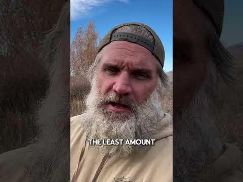 The ULTIMATE Stick #survival #primitiveskills #bushcraft #foraging #stick #minecraftsurvival #diy