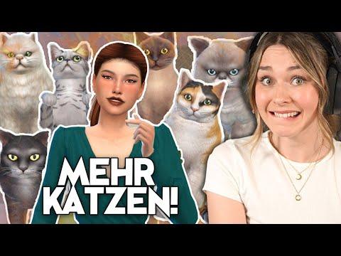 Unser KATZENCAFE in Die Sims 4 braucht MEHR KATZEN! 🐱 | simfinity