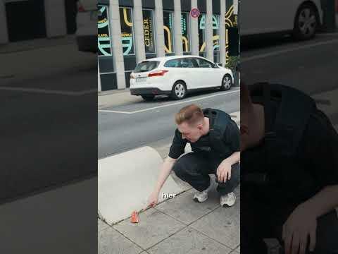 So arbeitet ein Drogen-Spürhund