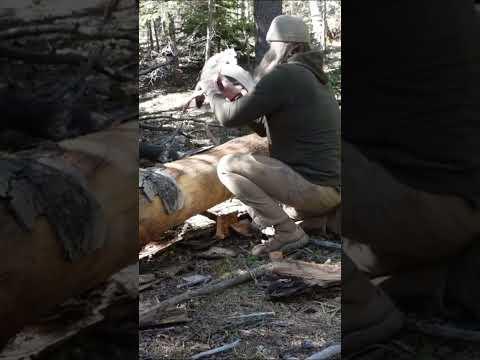 SHELTER In The MOUNTAINS #survival #bushcraft #camping #outdoors #shelter #wilderness #camp