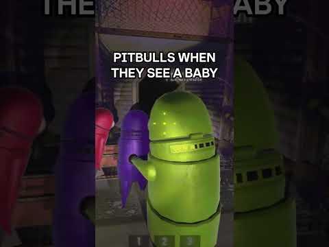 Pitbulls When They See a BABY