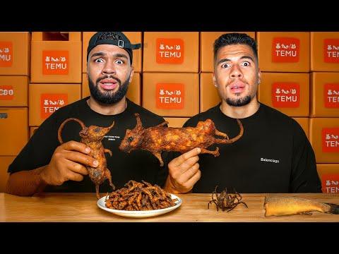 WIR TESTEN ESSEN VON TEMU !!! (KRANK)